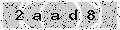 verify code