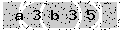 verify code