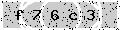 verify code
