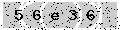verify code