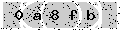 verify code