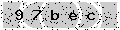 verify code