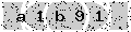 verify code