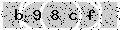 verify code