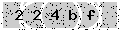 verify code