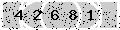 verify code