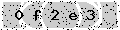 verify code