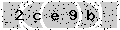 verify code