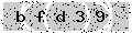 verify code