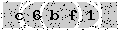 verify code