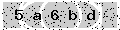 verify code