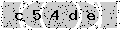 verify code