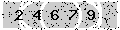 verify code