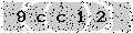 verify code