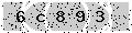 verify code