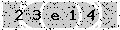 verify code