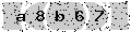 verify code