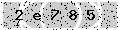 verify code