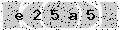 verify code