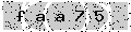 verify code