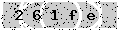verify code