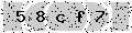 verify code