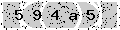 verify code