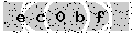 verify code