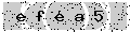 verify code