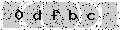 verify code