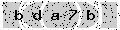 verify code