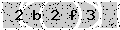 verify code