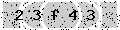 verify code