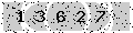 verify code