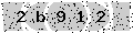 verify code
