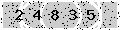 verify code