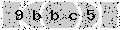 verify code