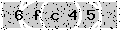 verify code