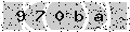 verify code