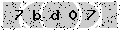 verify code