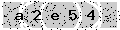 verify code