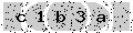 verify code