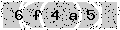 verify code