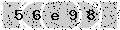 verify code