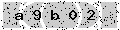 verify code