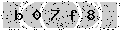 verify code