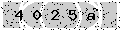 verify code