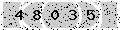 verify code