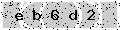 verify code