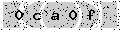verify code